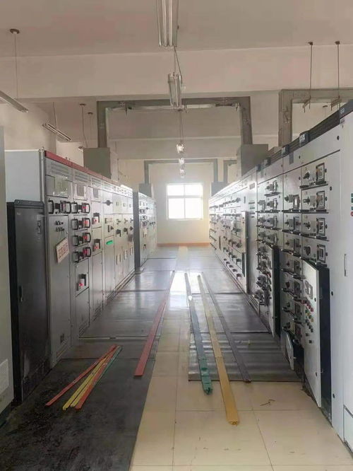 守護綠水青山 走進海西州格爾木市污水處理廠的環保開放日